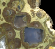 Donnybrook Conglomerate - many thundereggs!